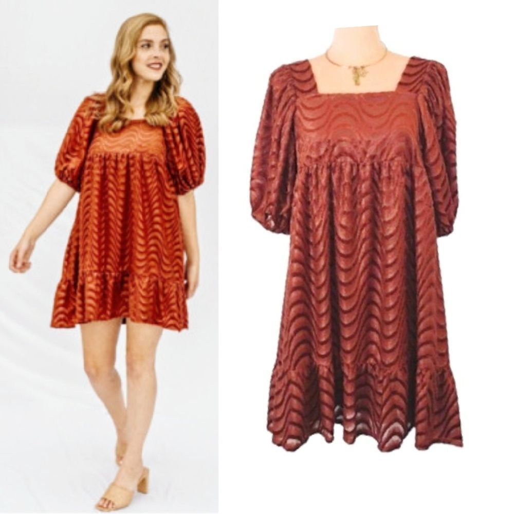 Anthropologie Moon River Terracotta Puff Sleeve Velvet Babydoll Dress Medium NWT
